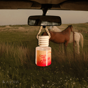 Car Diffuser | Chute Juice - Sunset Cherry - 8 ml - UnLaced Boutique
